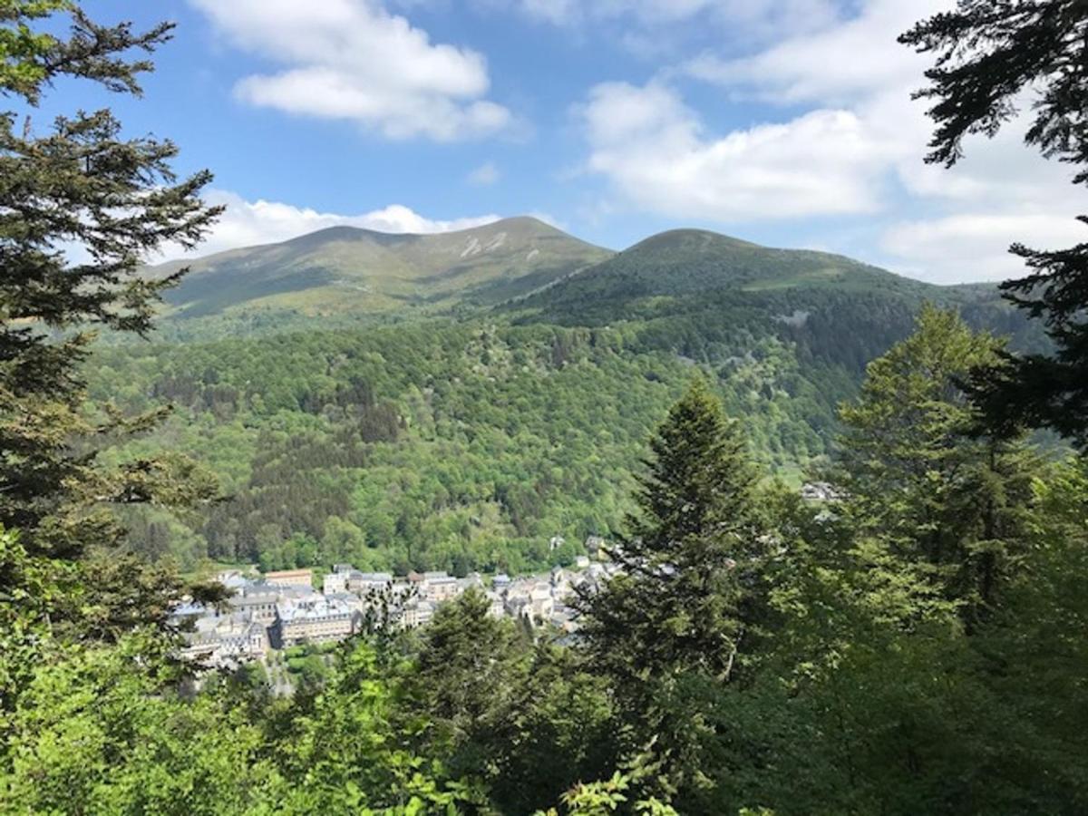 Mont-Dore T3 Duplex Avec Wifi Et Animaux Admis - Fr-1-608-26 Kültér fotó