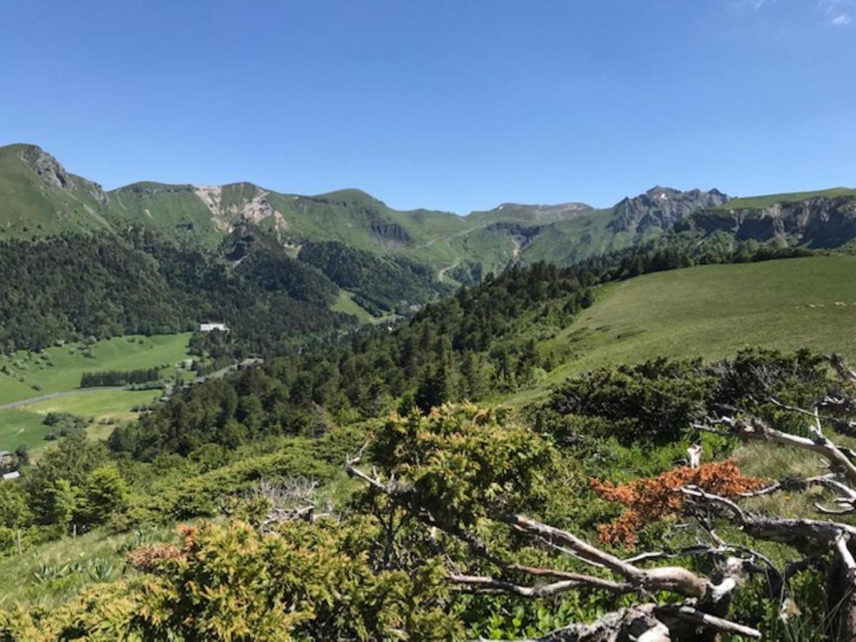 Mont-Dore T3 Duplex Avec Wifi Et Animaux Admis - Fr-1-608-26 Kültér fotó